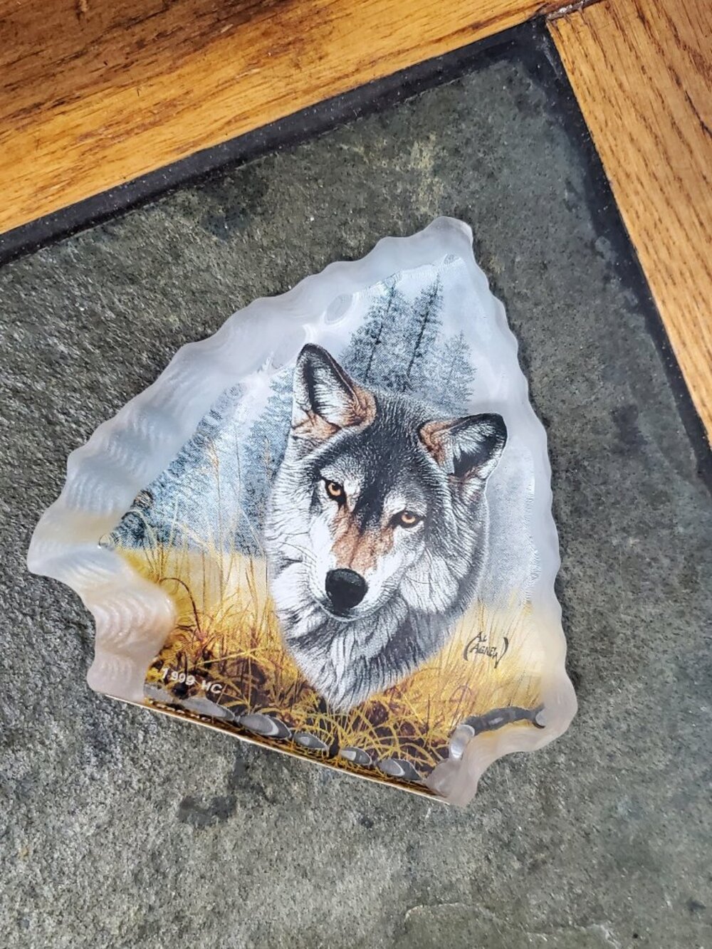 Eyes of Nature from The Wolf Spirit Collection